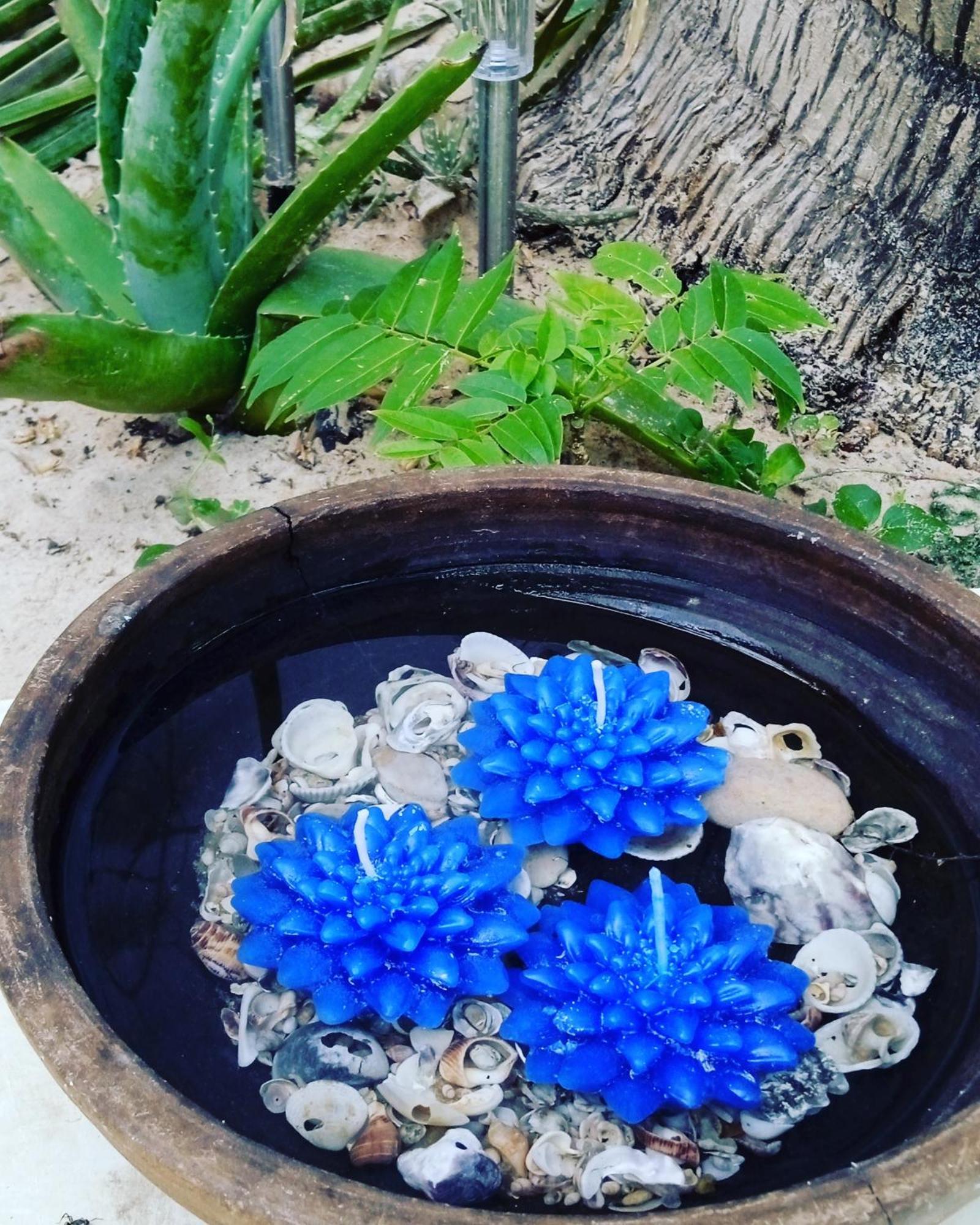 Chale Da Sereia Com Cozina Piscina Oasis No Centro De Jijoca de Jericoacoara