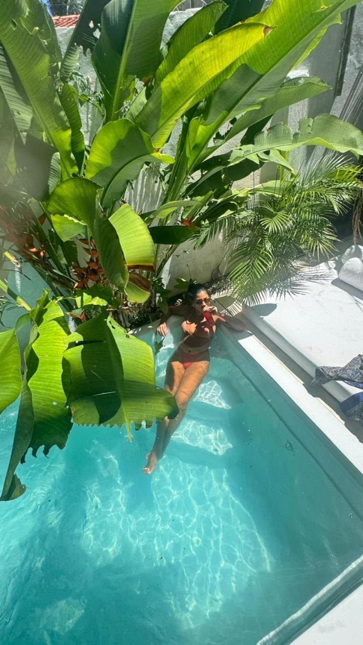 Guest house Chale Da Sereia Com Cozina Piscina Oasis No Centro De