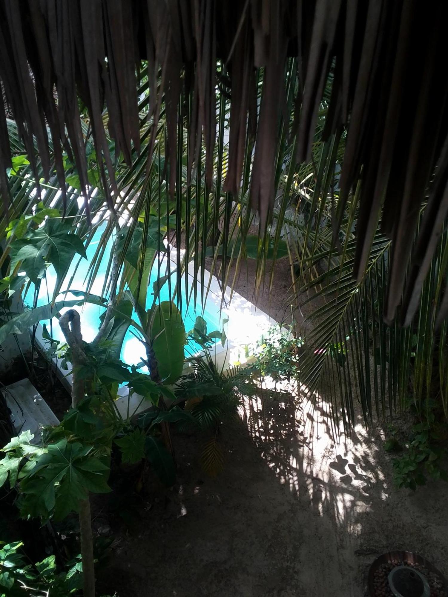 Chale Da Sereia Com Cozina Piscina Oasis No Centro De